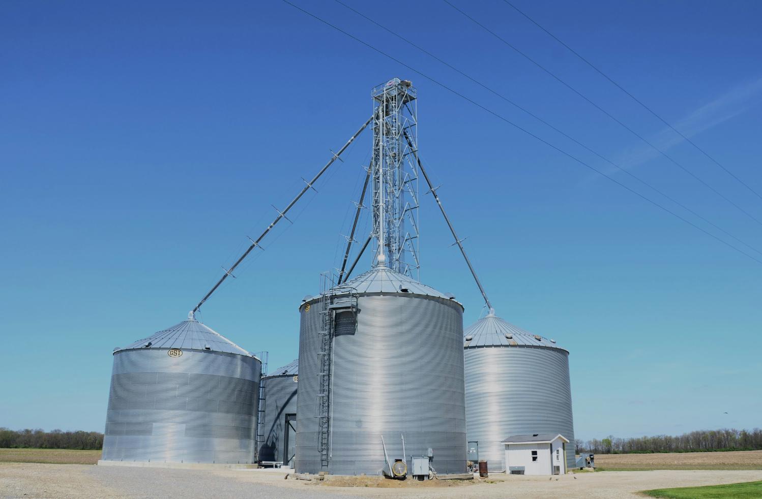AI-powered purification